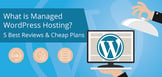 What is Managed WordPress Hosting? 5 Key Facts &amp; Best Hosts (2024)