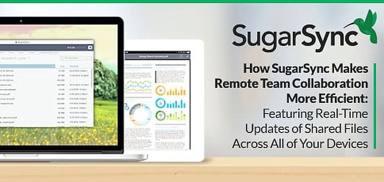 programs like sugarsync