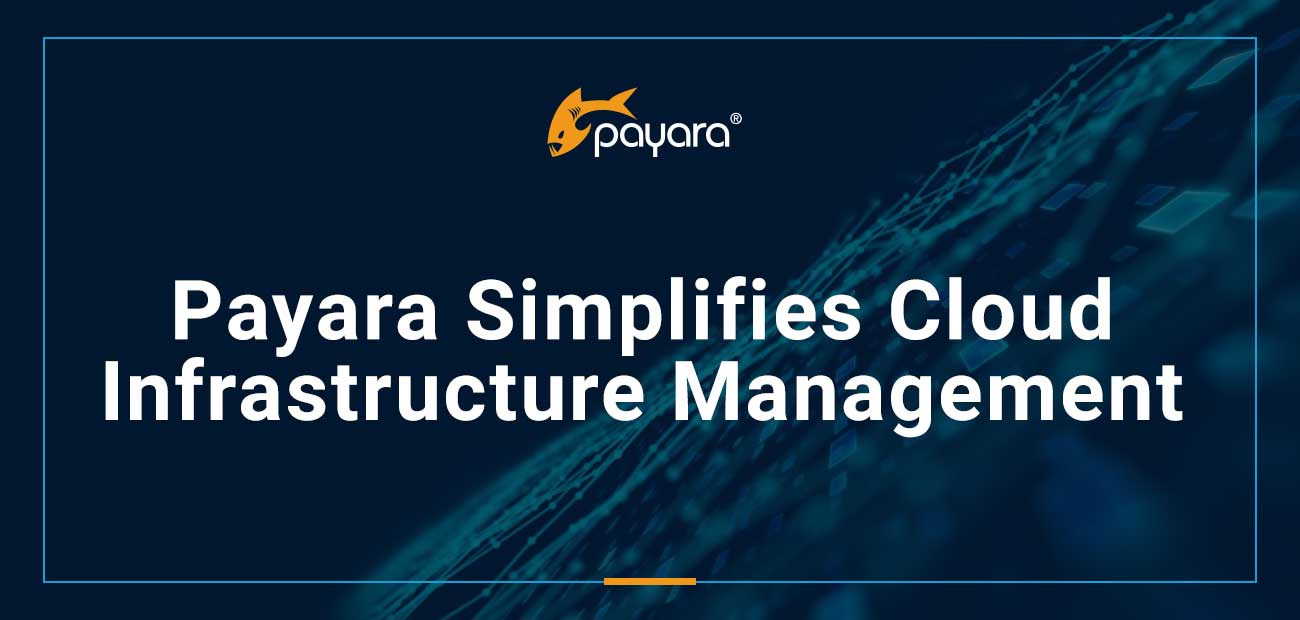 Payara microservices on sale